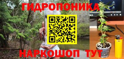 скорость Пугачёв